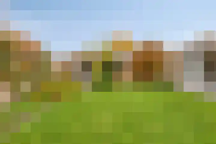 Huijbergseweg 79 Hoogerheide thumbnail 47