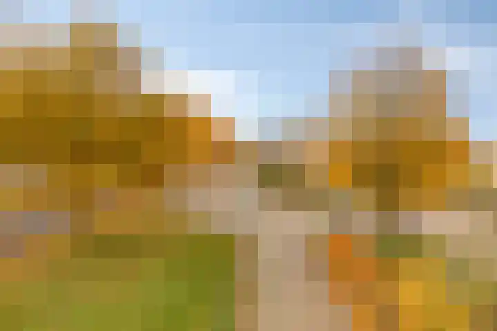 Huijbergseweg 79 Hoogerheide thumbnail 55