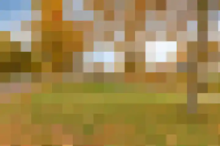 Huijbergseweg 79 Hoogerheide thumbnail 56