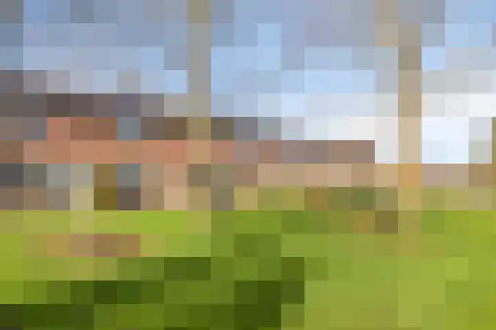 Huijbergseweg 79 Hoogerheide thumbnail 57