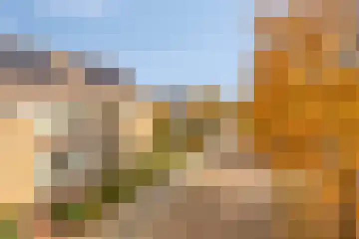 Huijbergseweg 79 Hoogerheide thumbnail 6