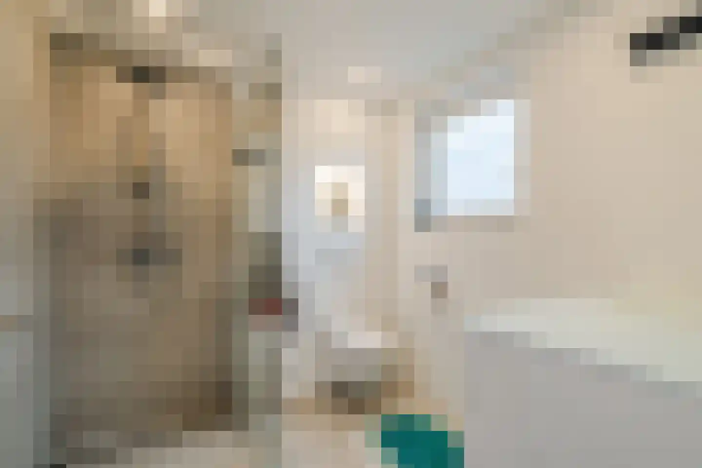 Huijbert van Schadijckln 35 Kortenhoef thumbnail 27