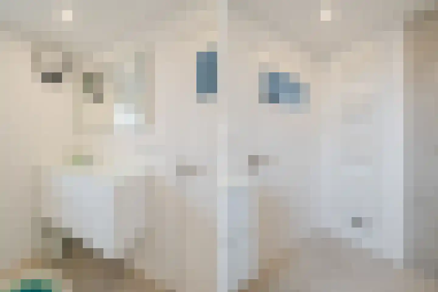 Huijbert van Schadijckln 35 Kortenhoef thumbnail 28