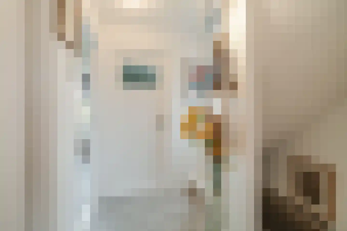 Huijbert van Schadijckln 35 Kortenhoef thumbnail 29