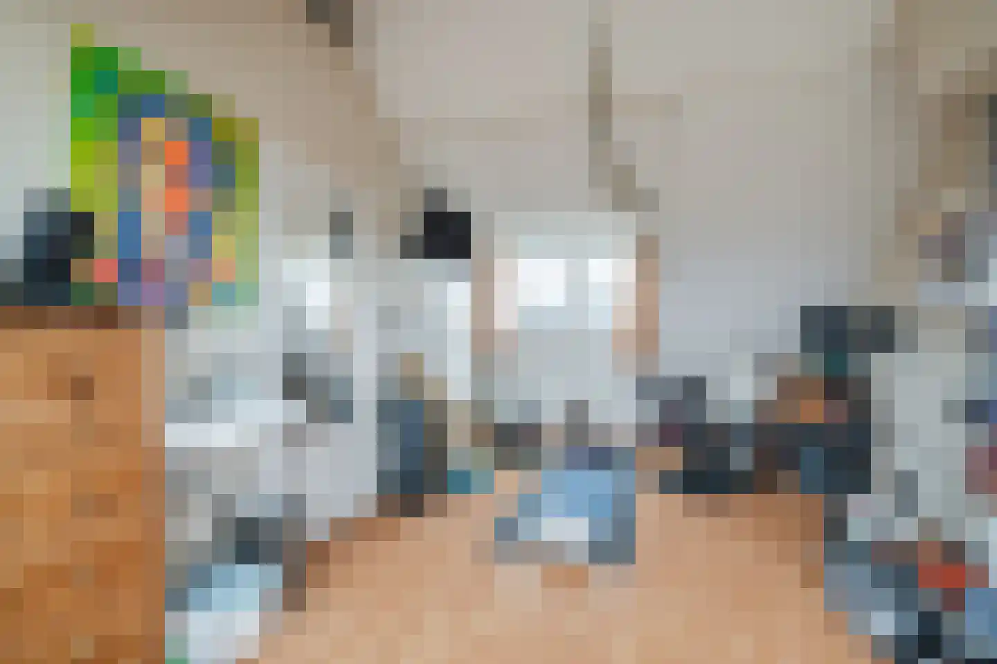 Huijbert van Schadijckln 35 Kortenhoef thumbnail 32