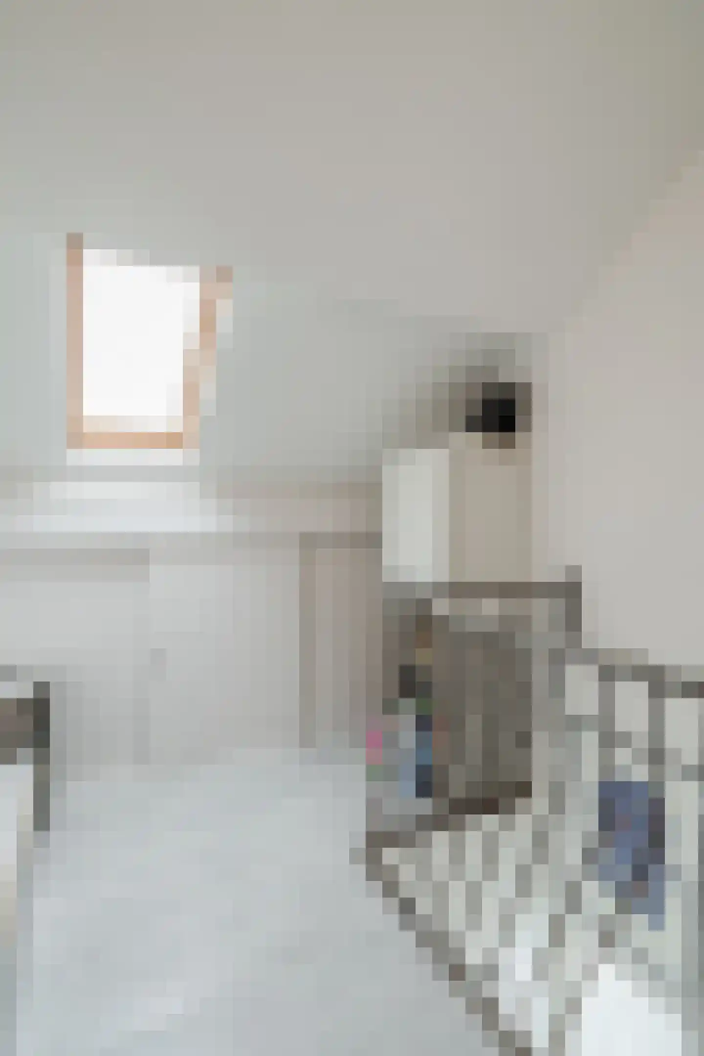 Huijbert van Schadijckln 35 Kortenhoef thumbnail 38
