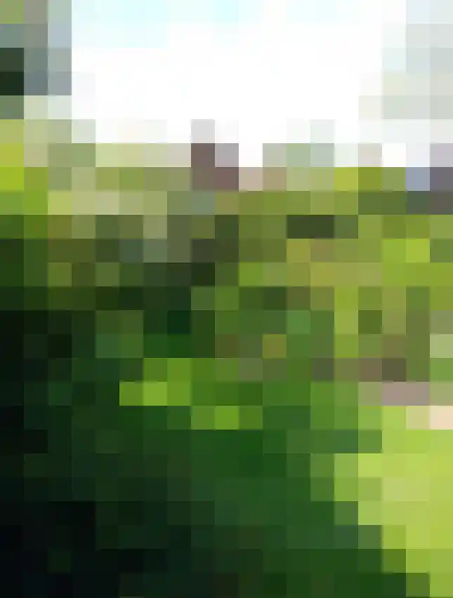 Huijbert van Schadijckln 35 Kortenhoef thumbnail 41