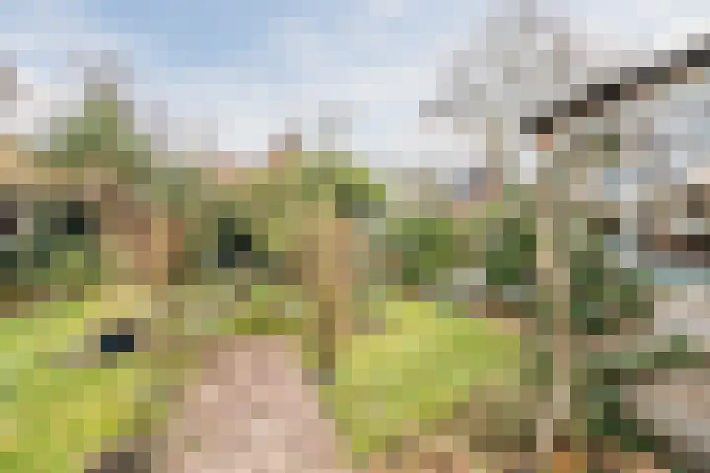Huijbert van Schadijckln 35 Kortenhoef thumbnail 42