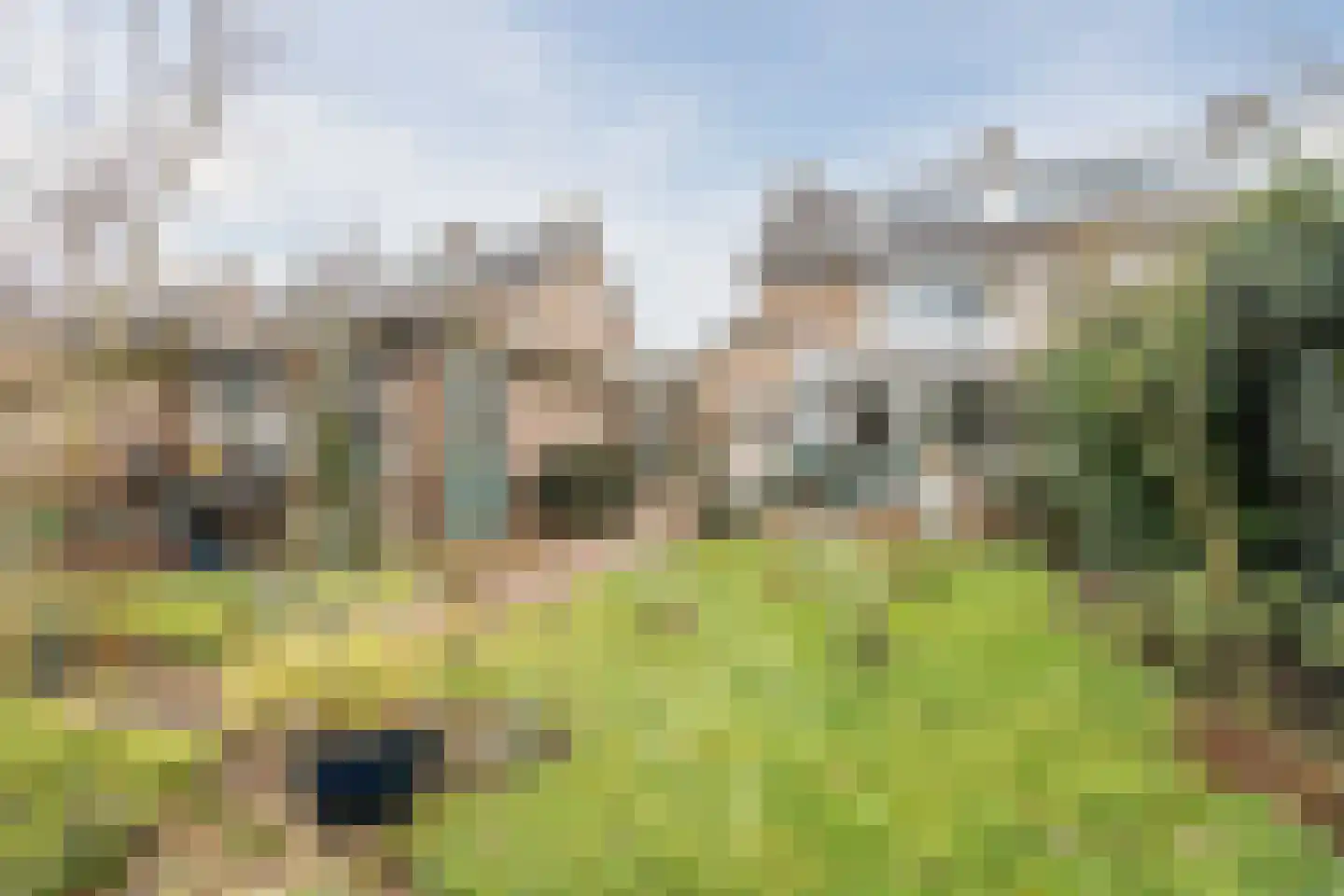 Huijbert van Schadijckln 35 Kortenhoef thumbnail 50