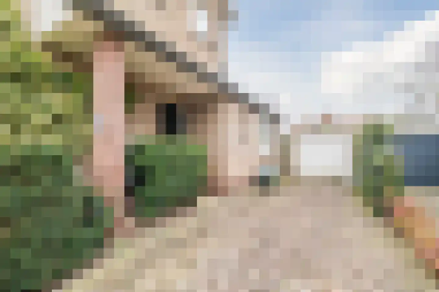 Huijbert van Schadijckln 35 Kortenhoef thumbnail 53