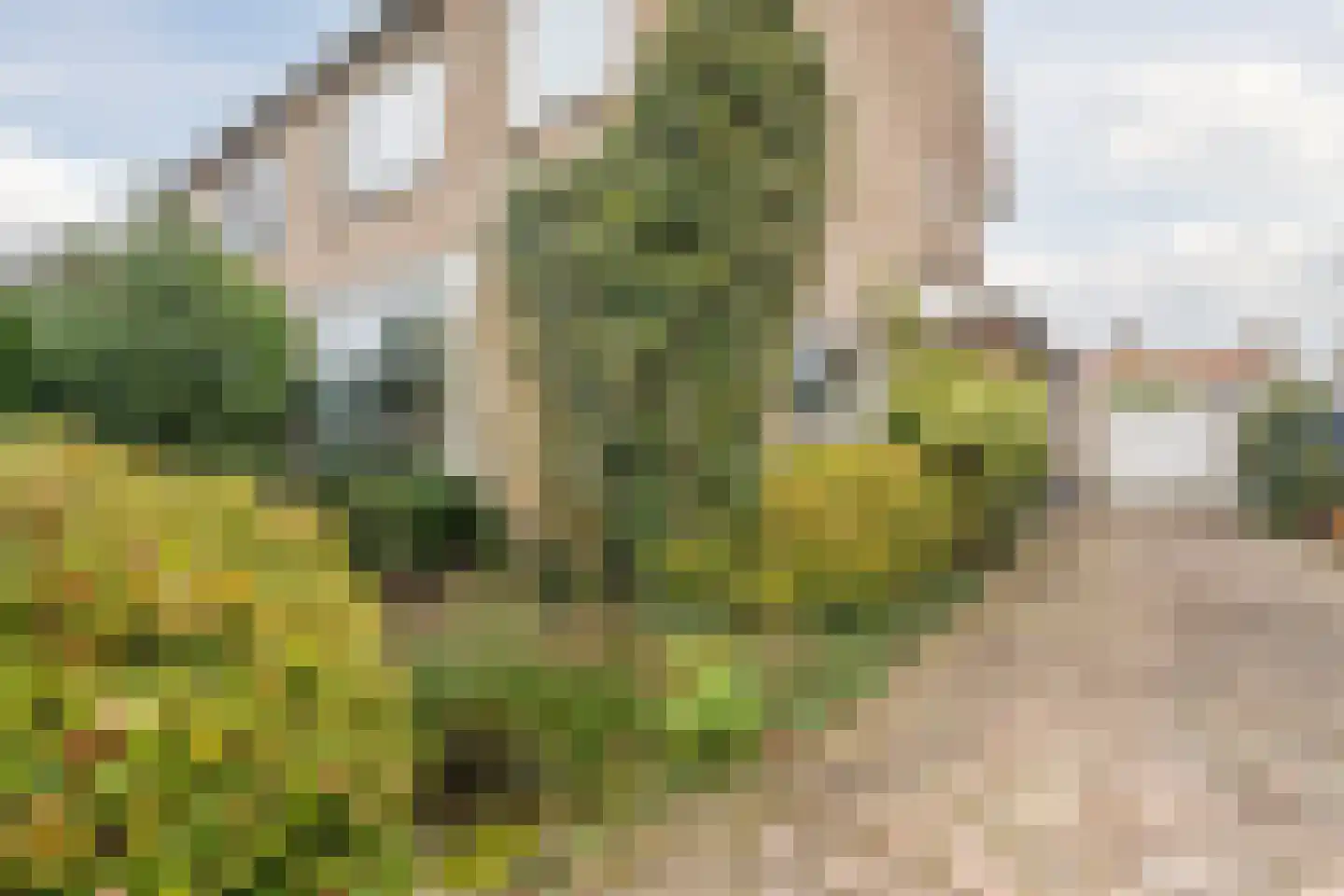 Huijbert van Schadijckln 35 Kortenhoef thumbnail 55