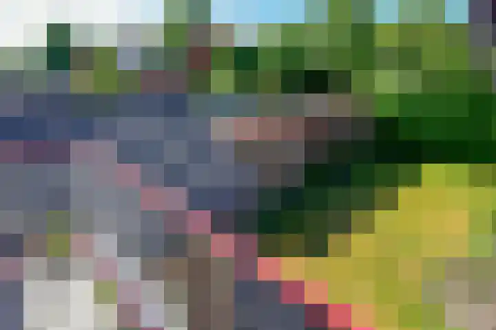 Huijbert van Schadijckln 5 Kortenhoef thumbnail 15