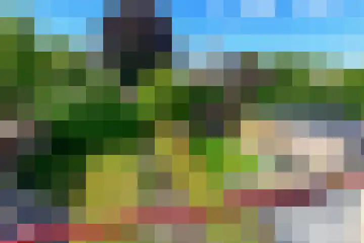 Huijbert van Schadijckln 5 Kortenhoef thumbnail 16