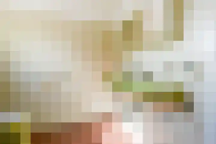 Huijbert van Schadijckln 5 Kortenhoef thumbnail 19