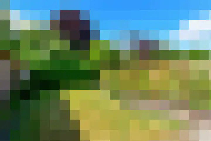 Huijbert van Schadijckln 5 Kortenhoef thumbnail 26