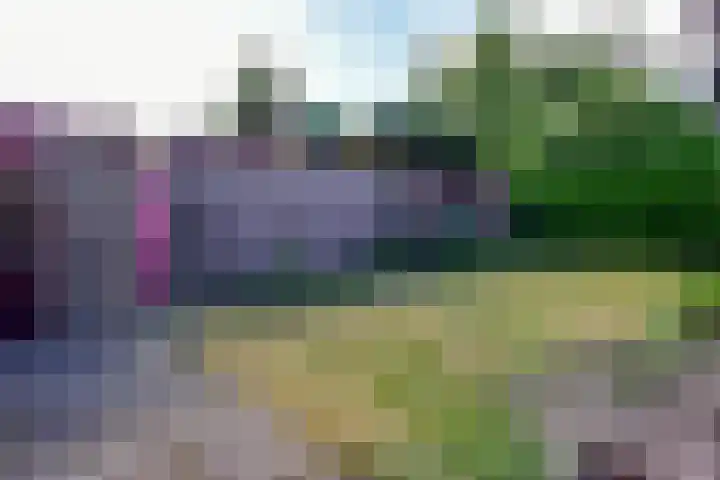 Huijbert van Schadijckln 5 Kortenhoef thumbnail 28