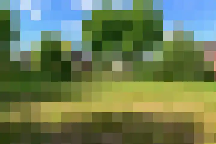 Huijbert van Schadijckln 5 Kortenhoef thumbnail 29