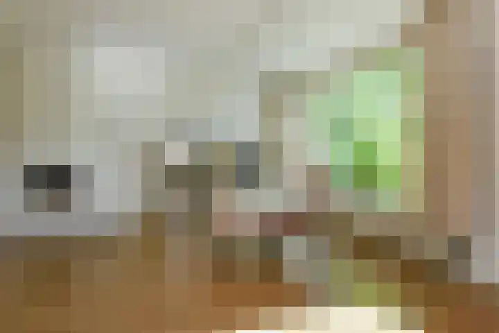 Huijbert van Schadijckln 5 Kortenhoef thumbnail 4