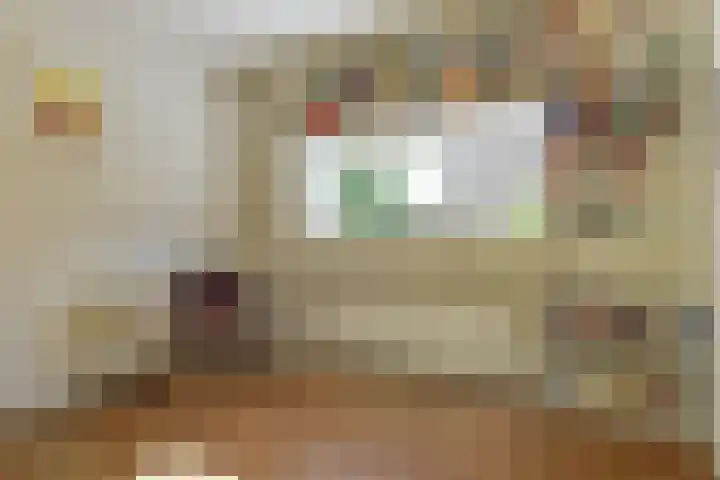 Huijbert van Schadijckln 5 Kortenhoef thumbnail 6