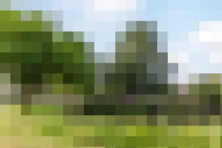 Huijgenlaan 42 Bunschoten-Spakenburg thumbnail 38