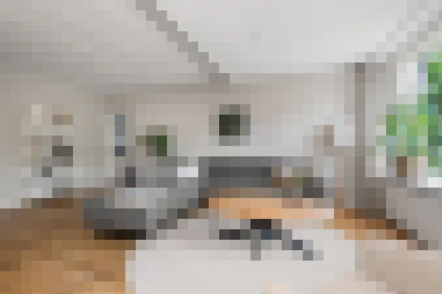 Huijgenserf 10 Hoevelaken thumbnail 8