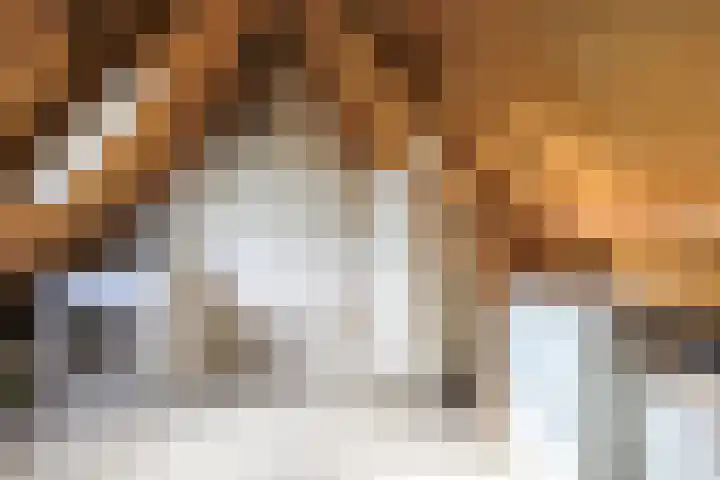 Huijgenserf 8 Hoevelaken thumbnail 27