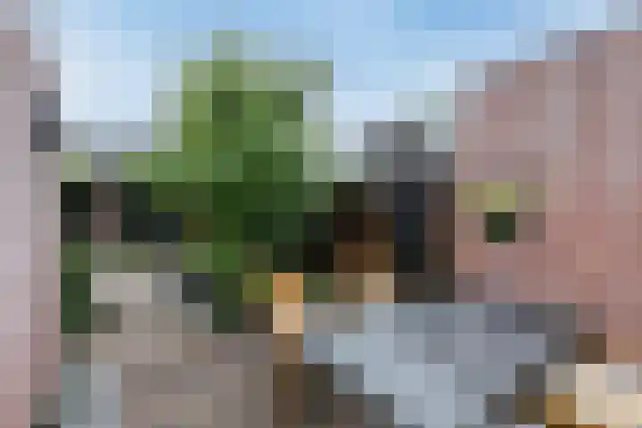 Huijgenserf 8 Hoevelaken thumbnail 30