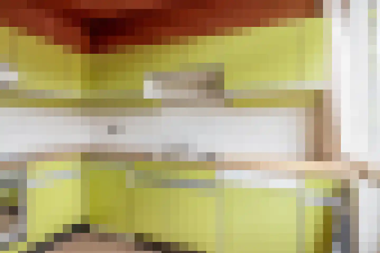 Huijgenslaan 16 Berkel en Rodenrijs thumbnail 17