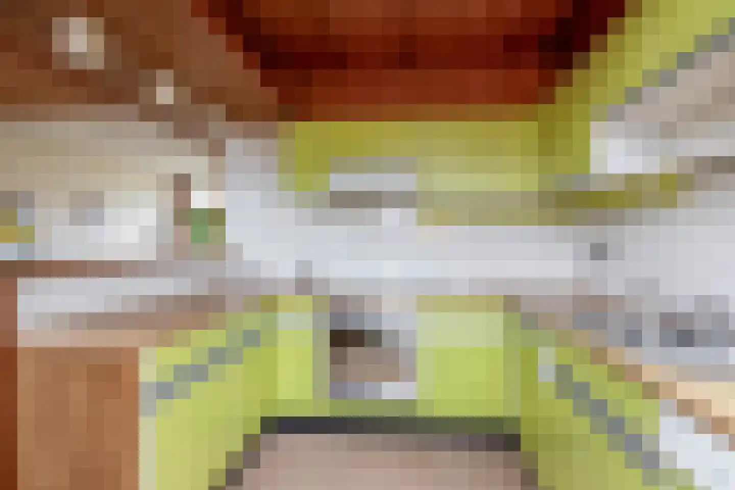 Huijgenslaan 16 Berkel en Rodenrijs thumbnail 17
