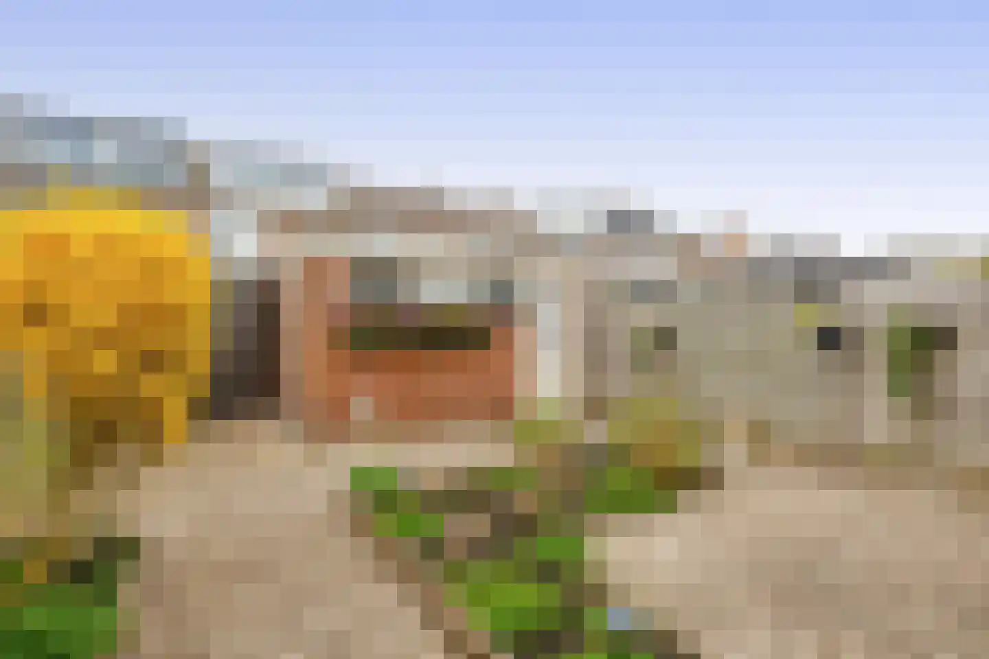 Huijgenslaan 16 Berkel en Rodenrijs thumbnail 19