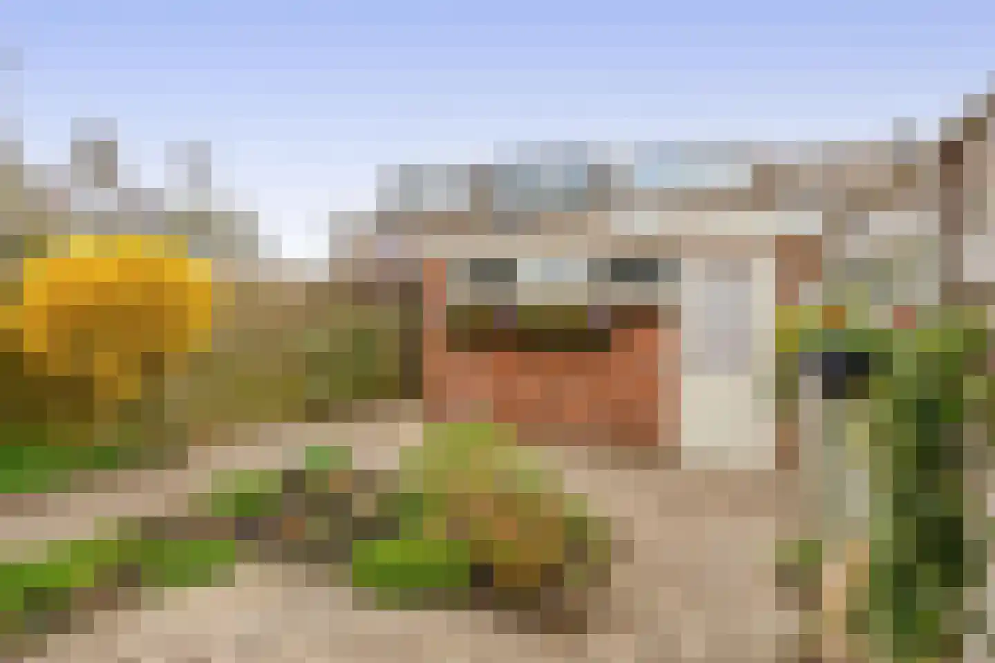 Huijgenslaan 16 Berkel en Rodenrijs thumbnail 20