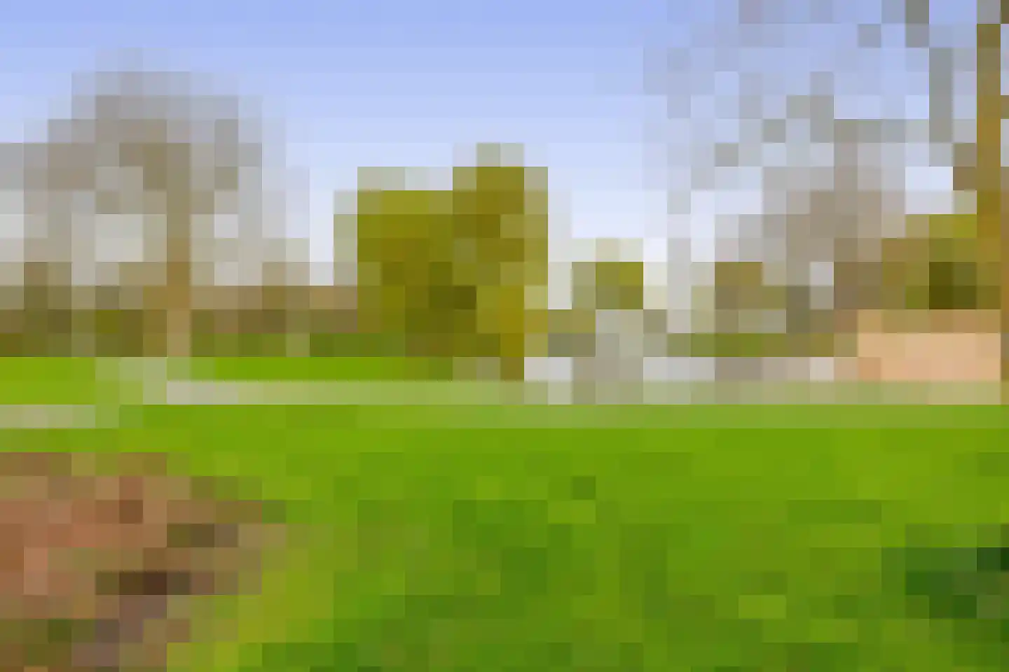 Huijgenslaan 16 Berkel en Rodenrijs thumbnail 40