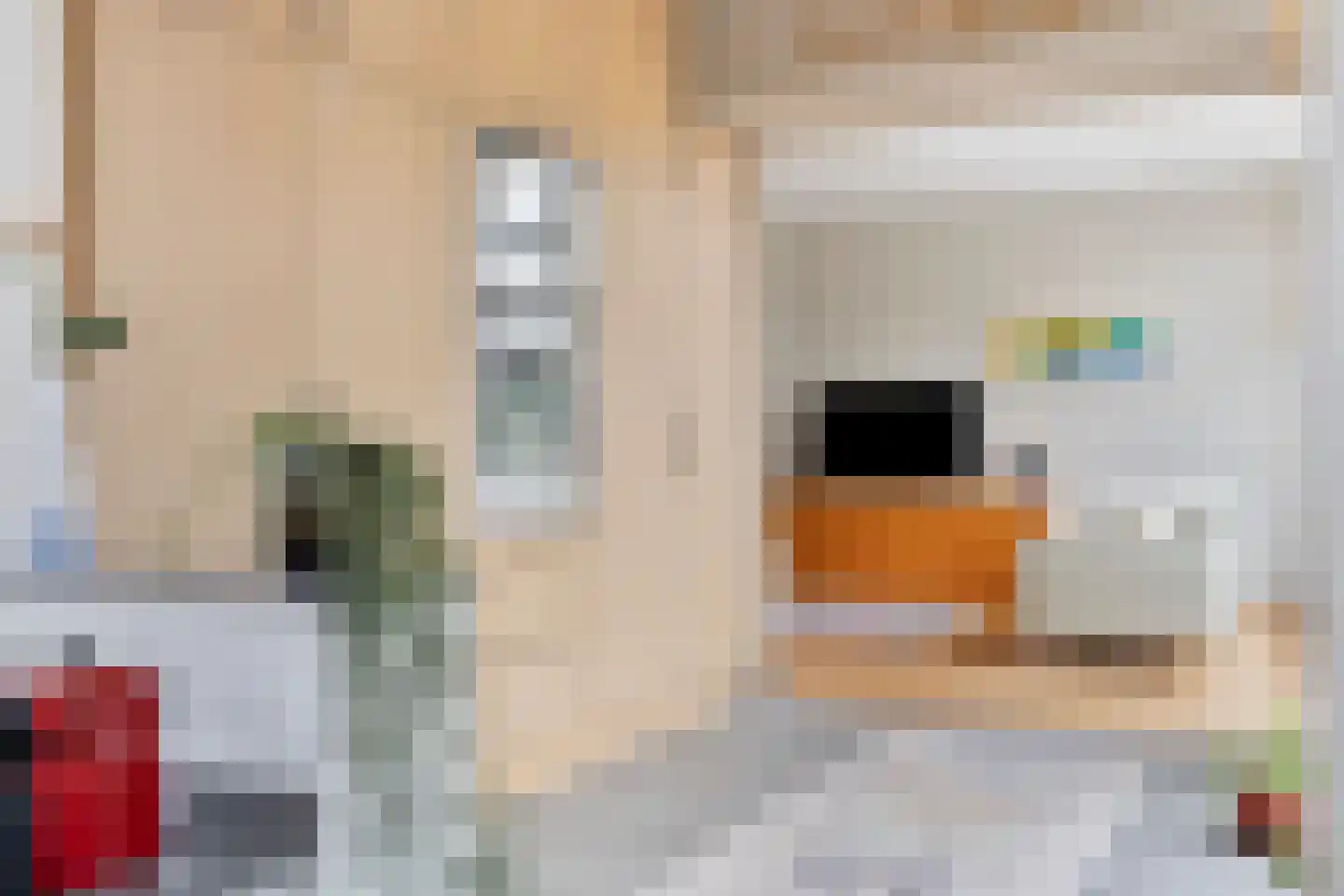 Huijgenslaan 22 Eindhoven thumbnail 20