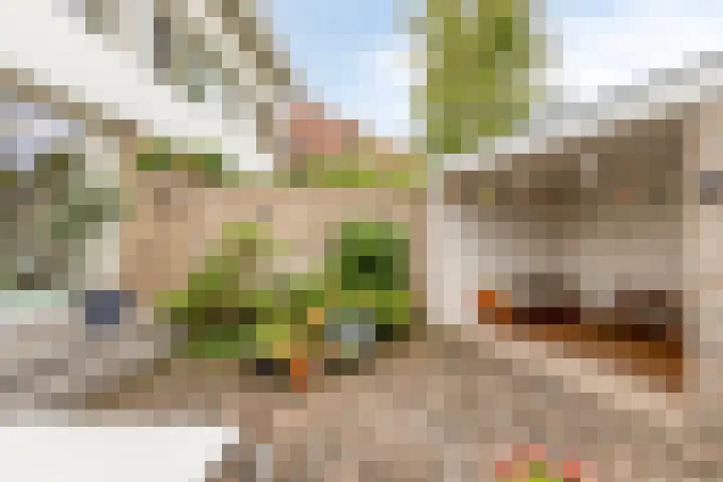 Huijgenslaan 22 Eindhoven thumbnail 53