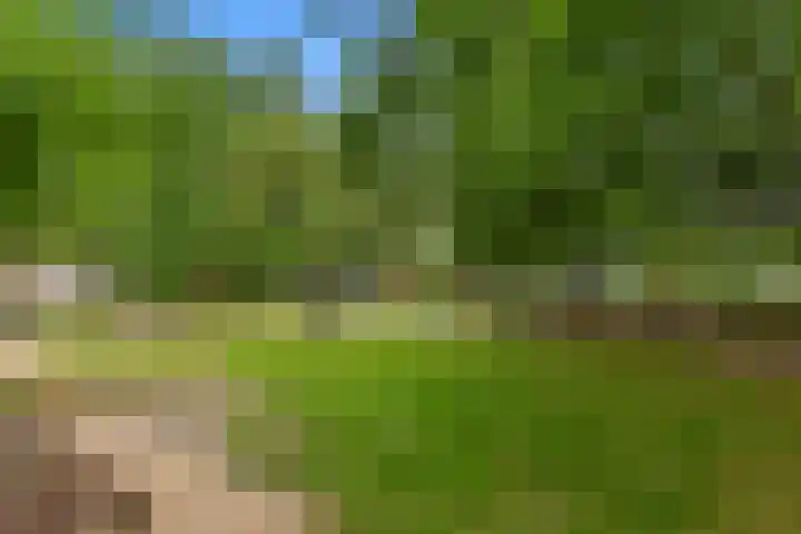 Huijgenspark 43 C Den Haag thumbnail 52
