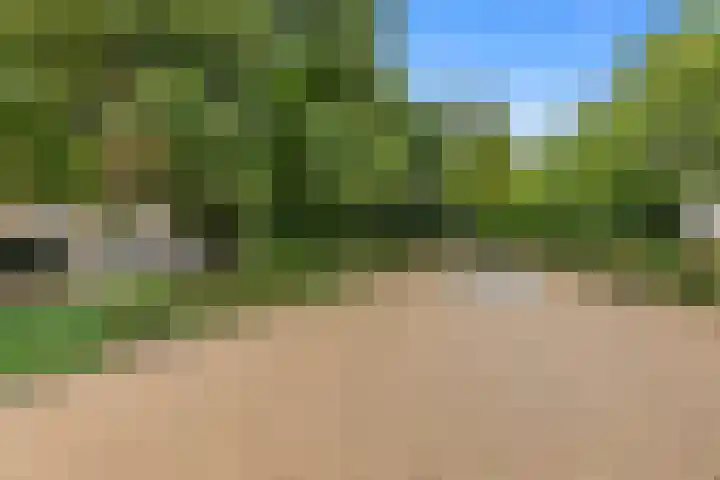 Huijgenspark 43 C Den Haag thumbnail 55