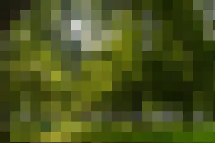 Huijgenspark 43 C Den Haag thumbnail 56