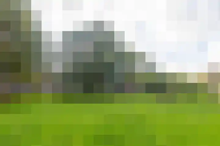 Huijgenspark 43 C Den Haag thumbnail 59