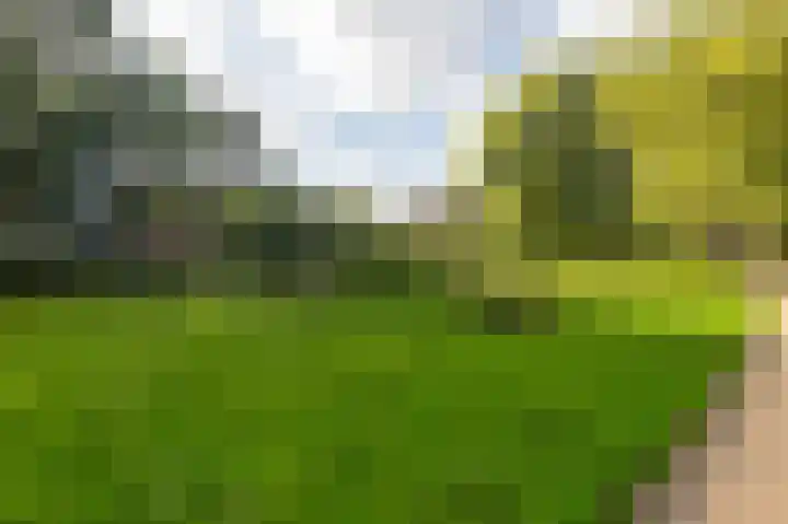 Huijgenspark 43 C Den Haag thumbnail 60