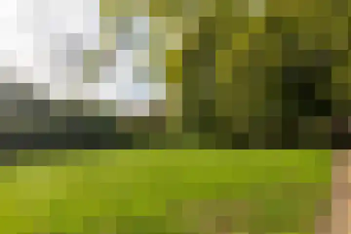 Huijgenspark 43 C Den Haag thumbnail 61
