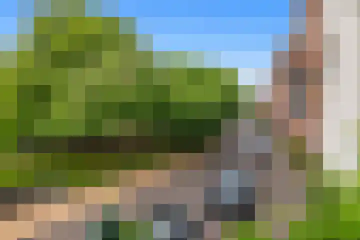 Huijgenspark 43 C Den Haag thumbnail 9