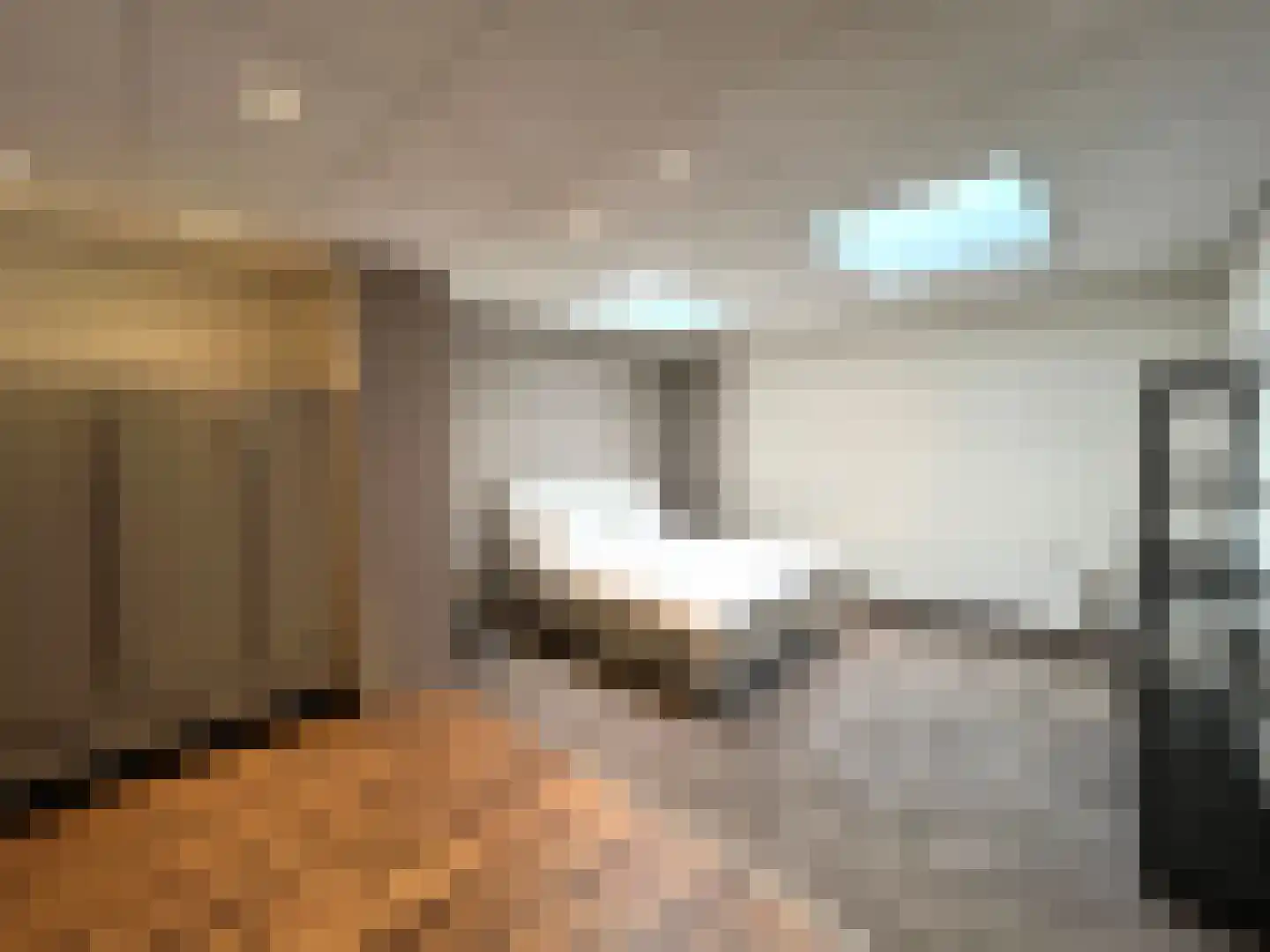 Huijgenspark 45 C Den Haag thumbnail 9