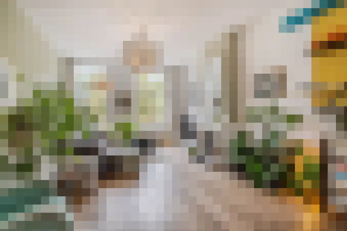 Huijgenspark 58 A Den Haag thumbnail 13