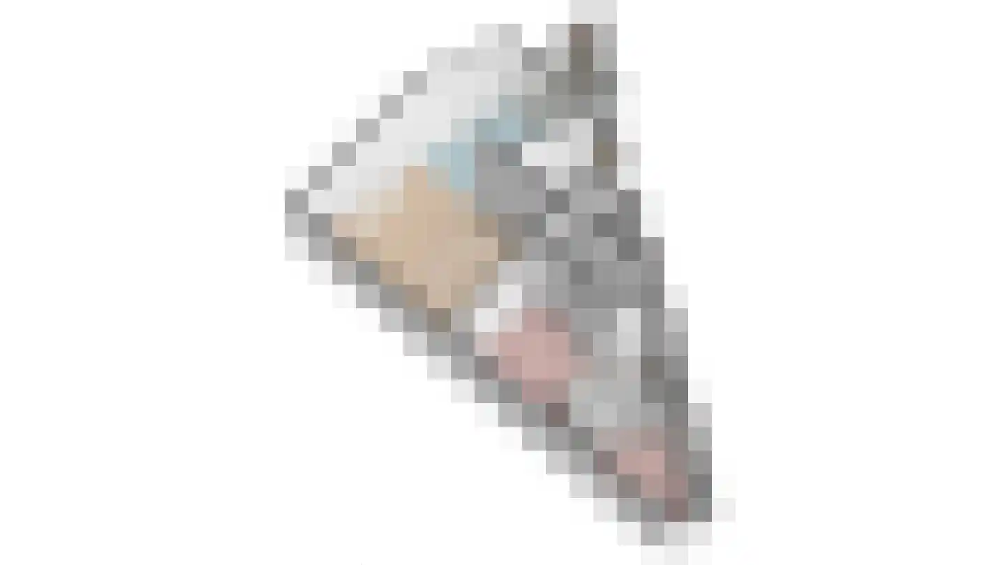 Huijgensstraat 1 D Den Haag thumbnail 31