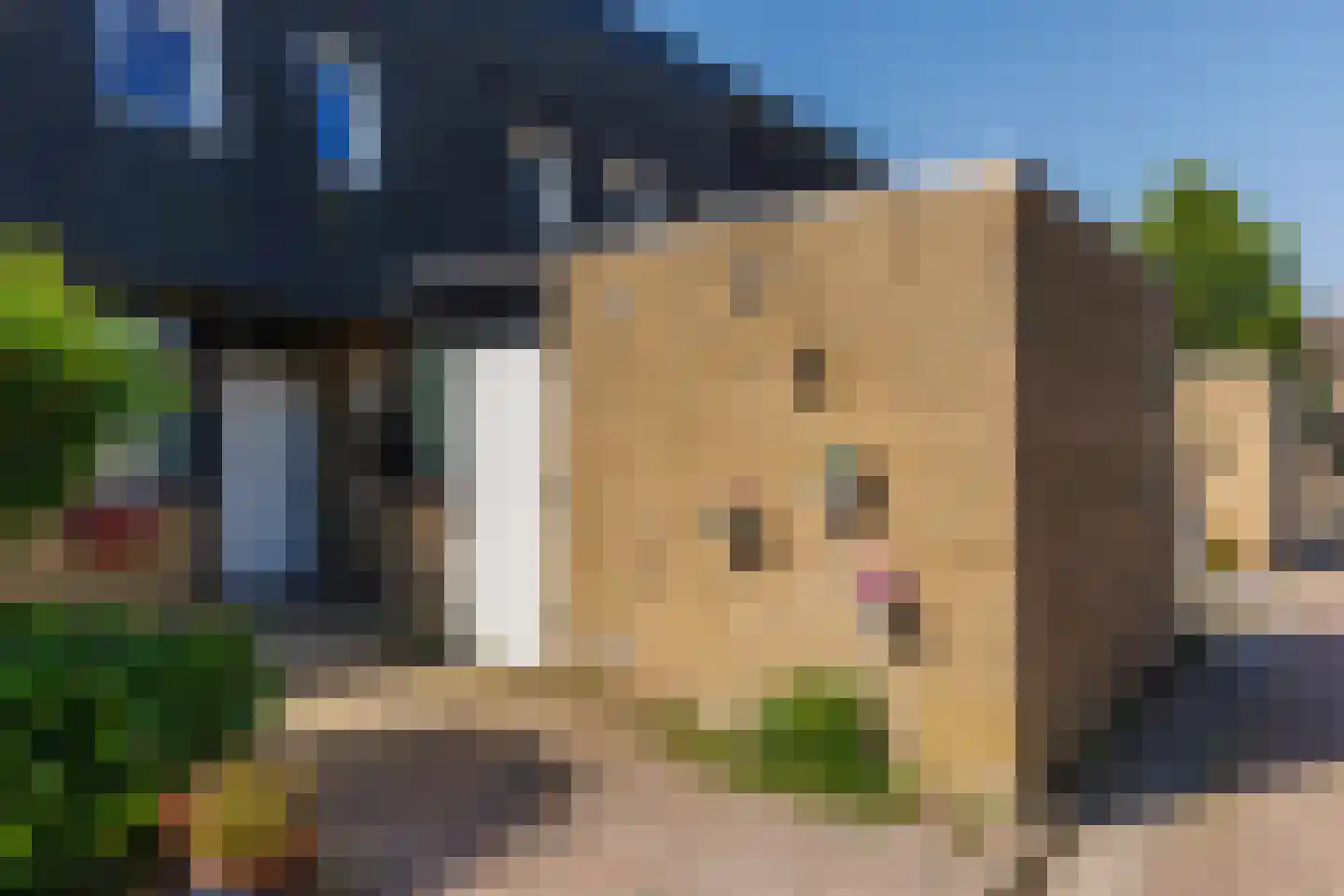 Huijgensstraat 115 Hoogerheide thumbnail 35