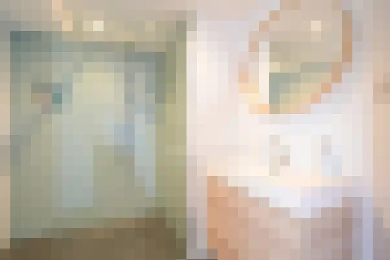 Huijgensstraat 13 D Den Haag thumbnail 14