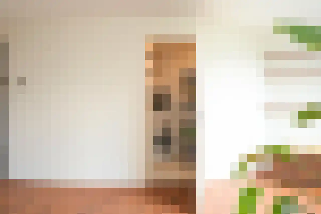 Huijgensstraat 13 D Den Haag thumbnail 22
