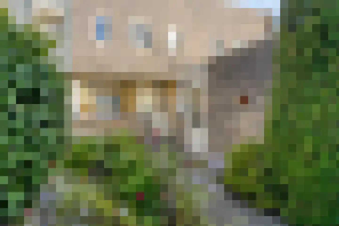 Huijgensstraat 133 Hoogerheide thumbnail 33