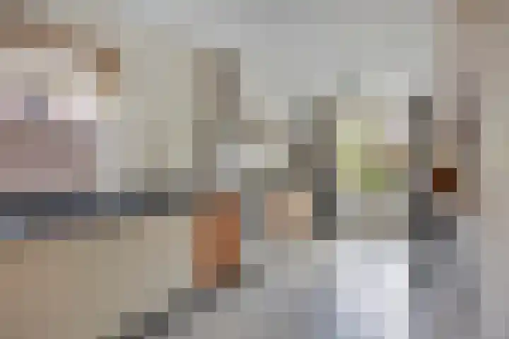 Huijgensstraat 15 Terheijden thumbnail 18