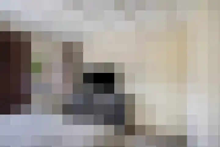 Huijgensstraat 15 Terheijden thumbnail 22